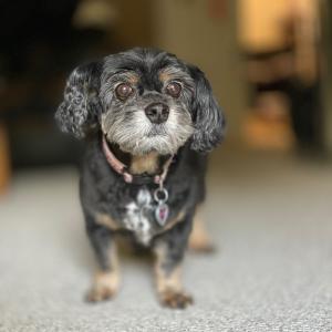 IMG_1261