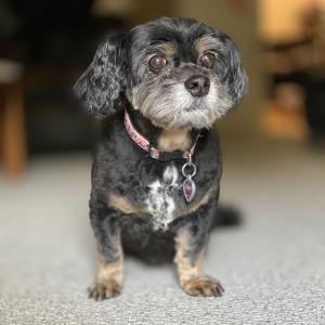 IMG_1264