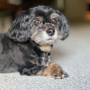 IMG_1249