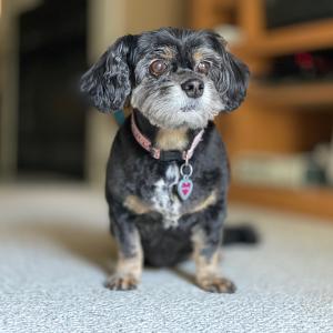 IMG_1255