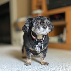 IMG_1253