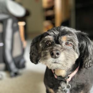 IMG_1241