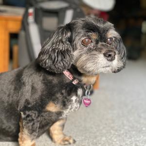 IMG_1236