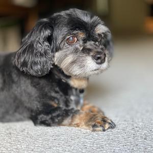 IMG_1248