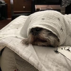 IMG_0227